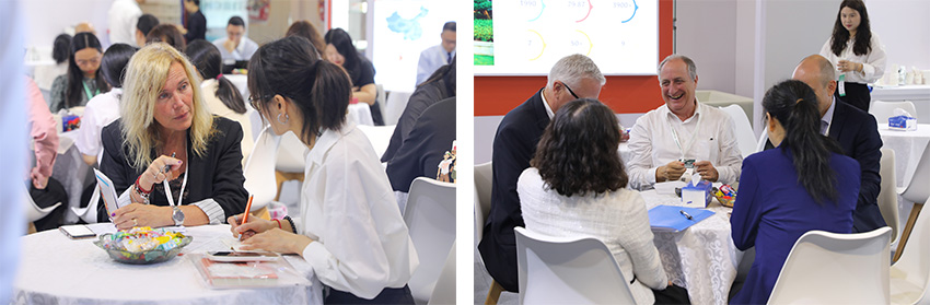 1718932995884231xn9k.jpg 850-4.jpg